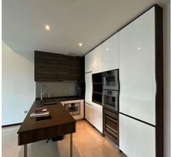 The Scotts Tower (D9), Condominium #613671331